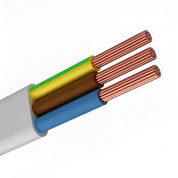 Провод ПУГНП 2х4